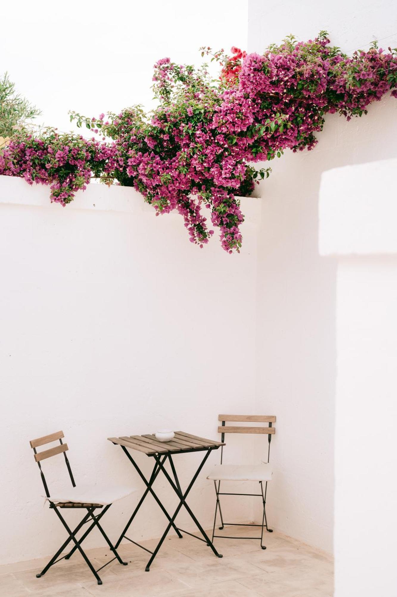 Oltre Gli Ulivi Bed & Breakfast Ostuni Exterior photo
