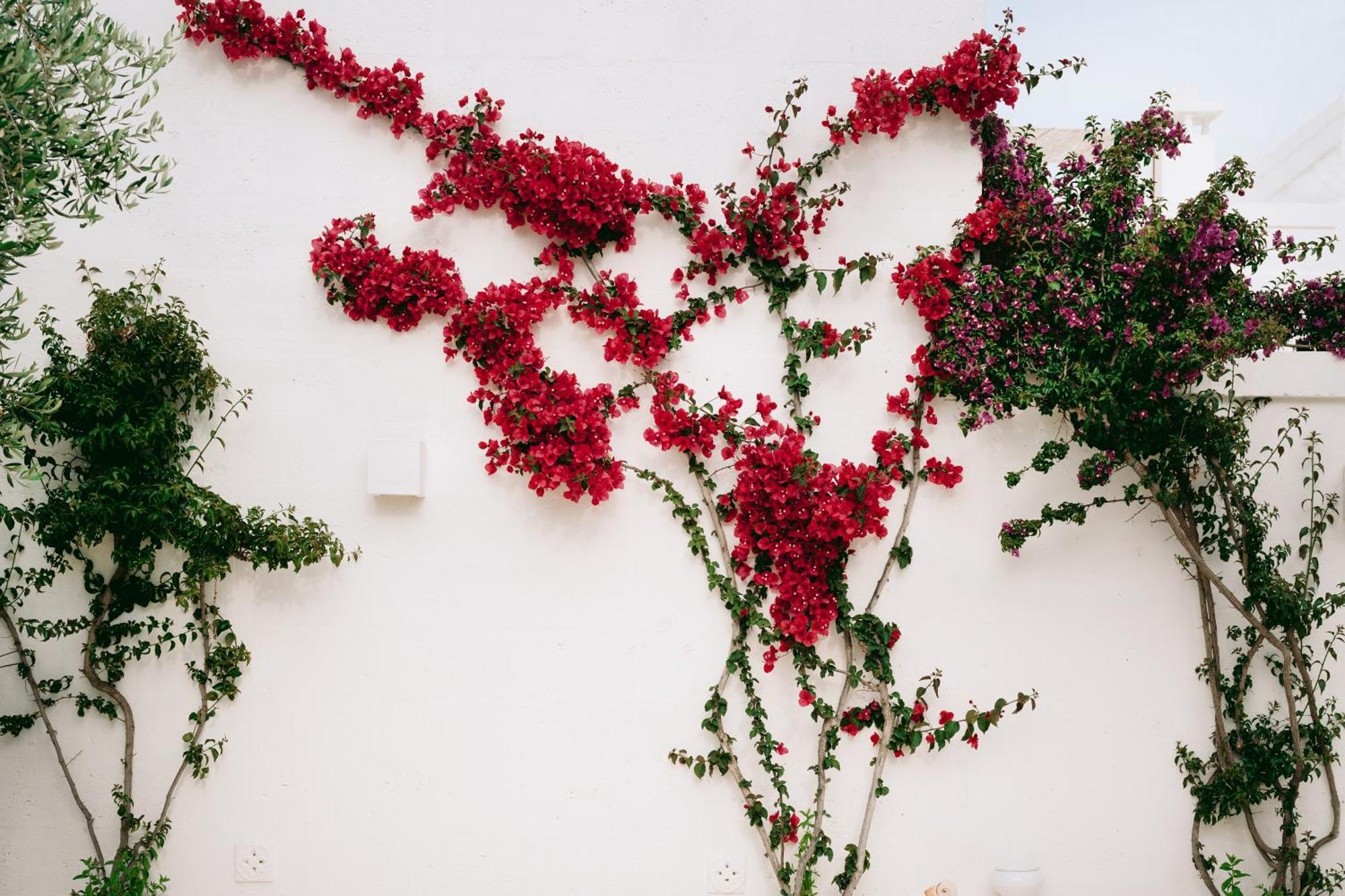 Oltre Gli Ulivi Bed & Breakfast Ostuni Exterior photo